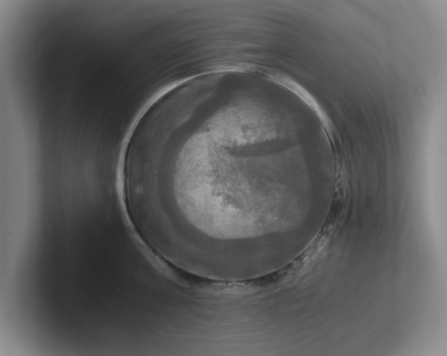 X0000102520811200808151532