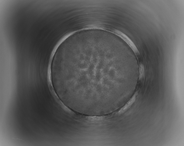 X0000102520812200808151532