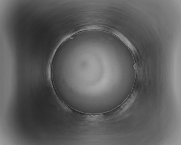 X0000102520813200808151532