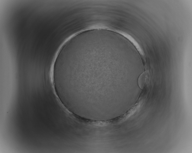 X0000102520815200808151532