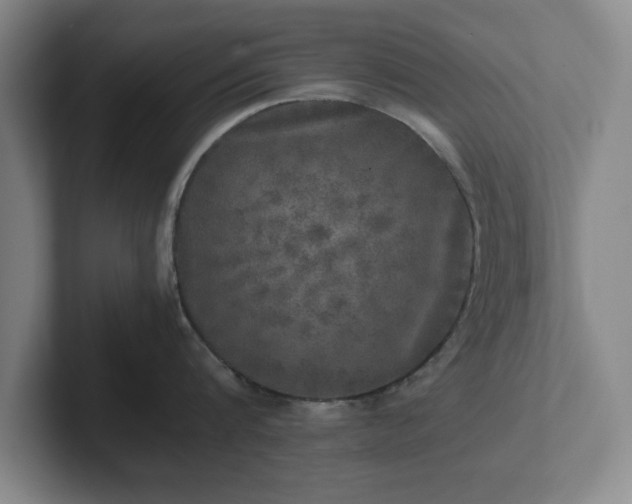 X0000102520816200808151532