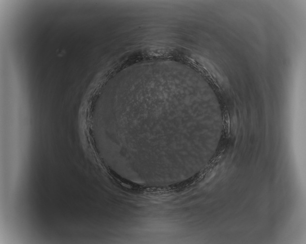 X0000102520817200808151531