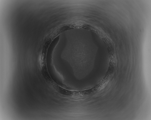 X0000102520818200808151531