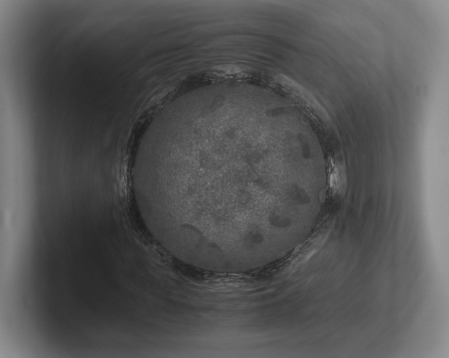 X0000102520819200808151531