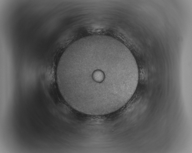 X0000102520820200808151531