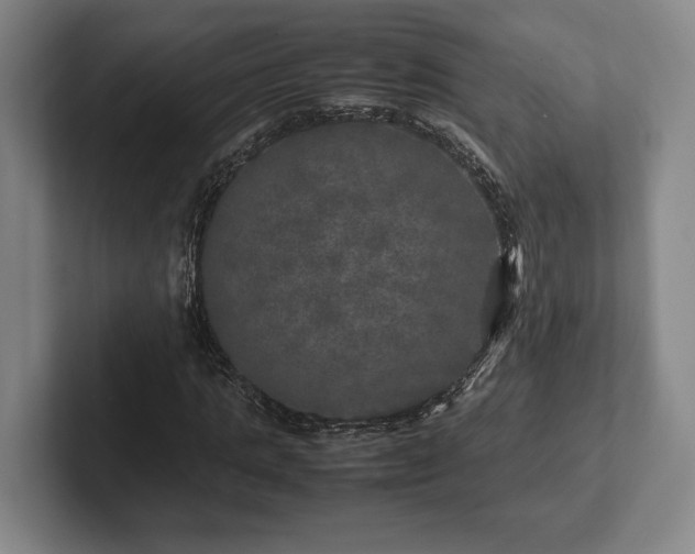 X0000102520821200808151531