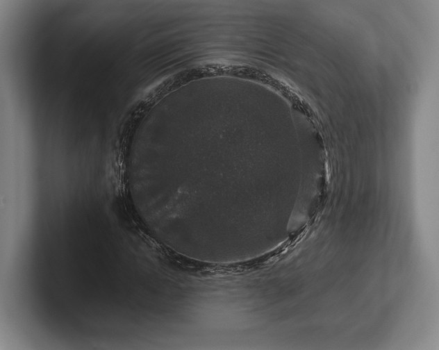 X0000102520822200808151531