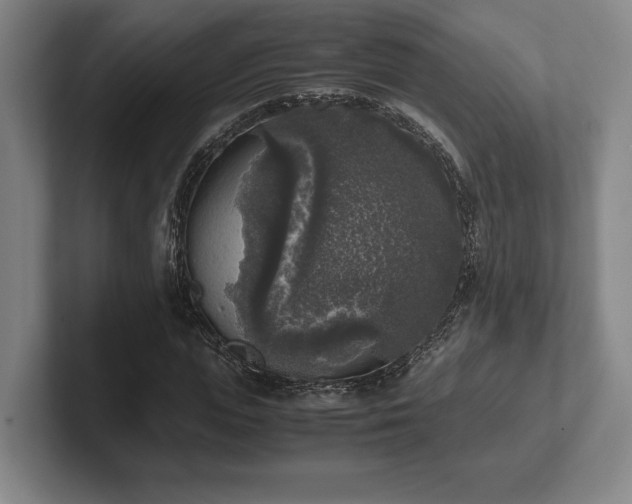 X0000102520823200808151531