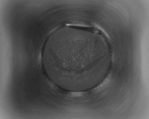 X0000102520825200808151531