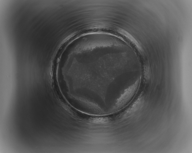 X0000102520826200808151531