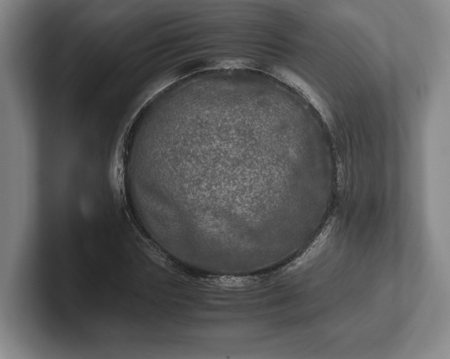 X0000102520827200808151531