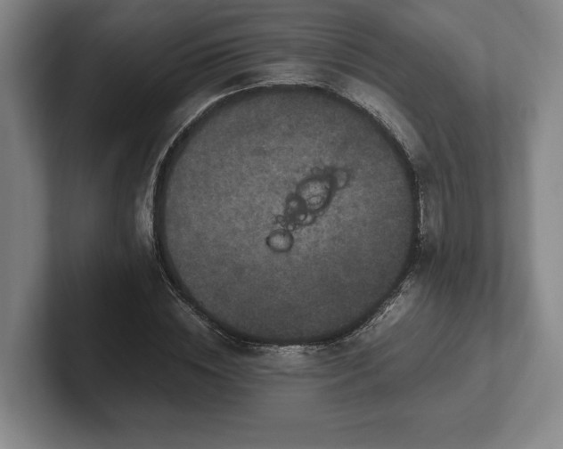 X0000102520828200808151531