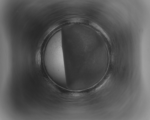 X0000102520829200808151531