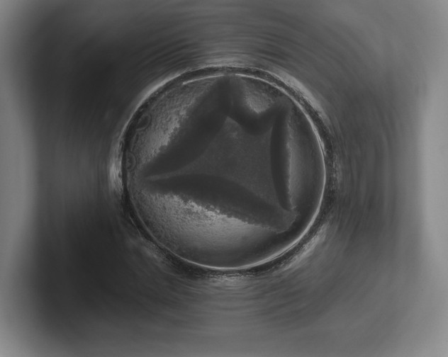 X0000102520830200808151531