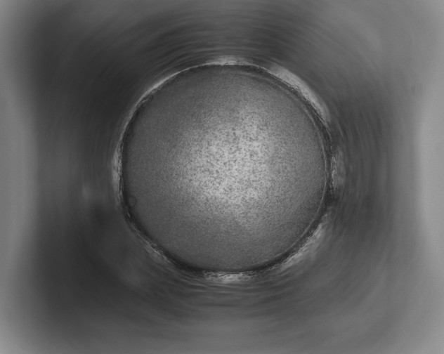 X0000102520831200808151531