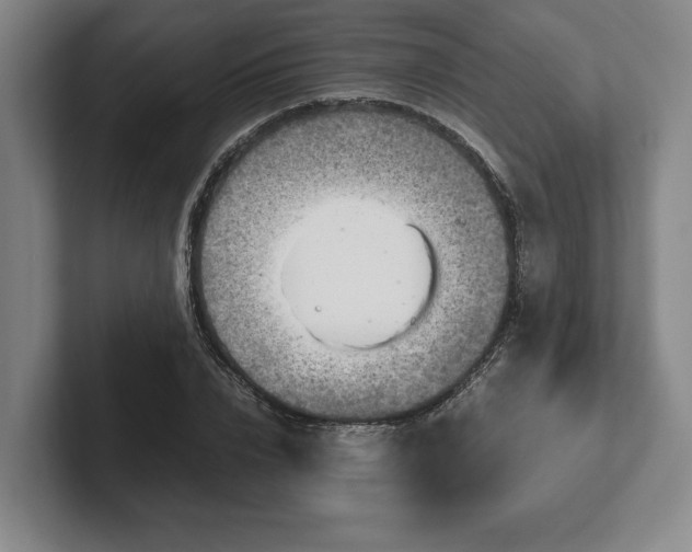 X0000102520832200808151531