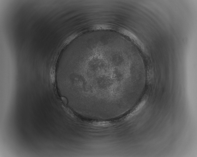 X0000102520833200808151531