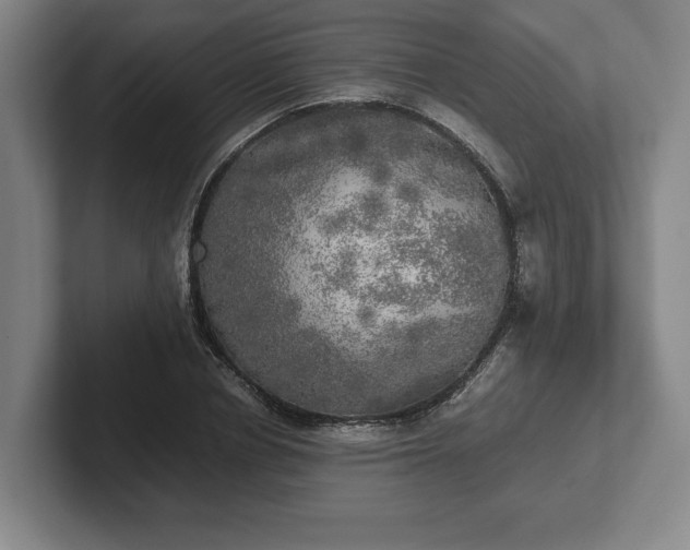 X0000102520834200808151531