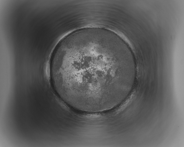 X0000102520838200808151531