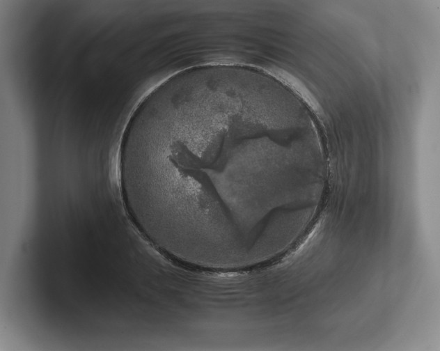 X0000102520839200808151531