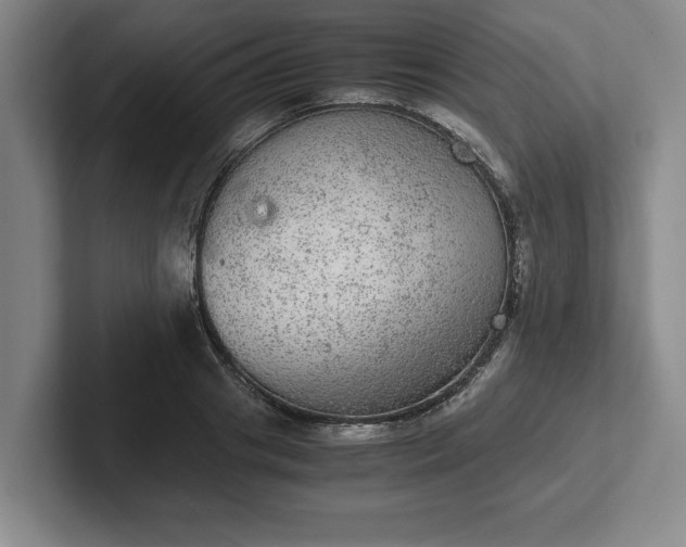 X0000102520841200808151531