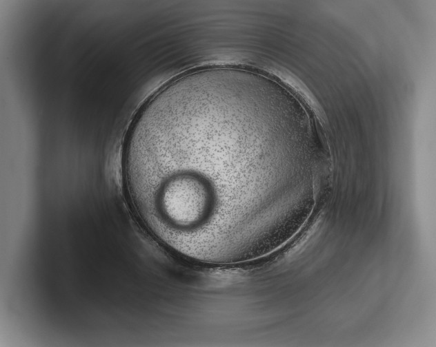 X0000102520842200808151531