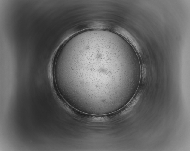 X0000102520843200808151531