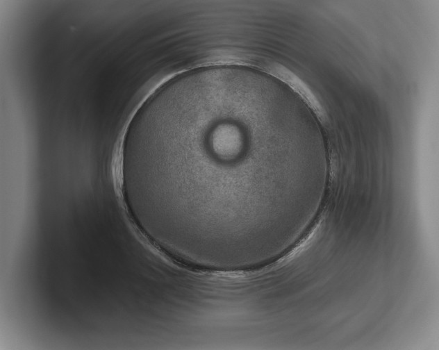 X0000102520844200808151531