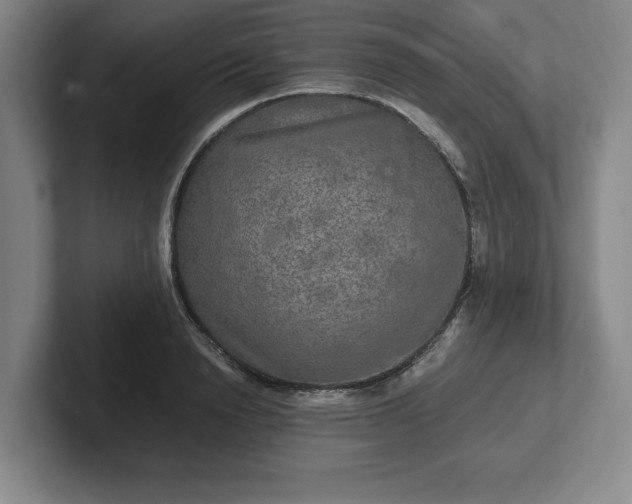 X0000102520846200808151531