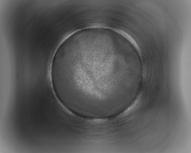 X0000102520847200808151531