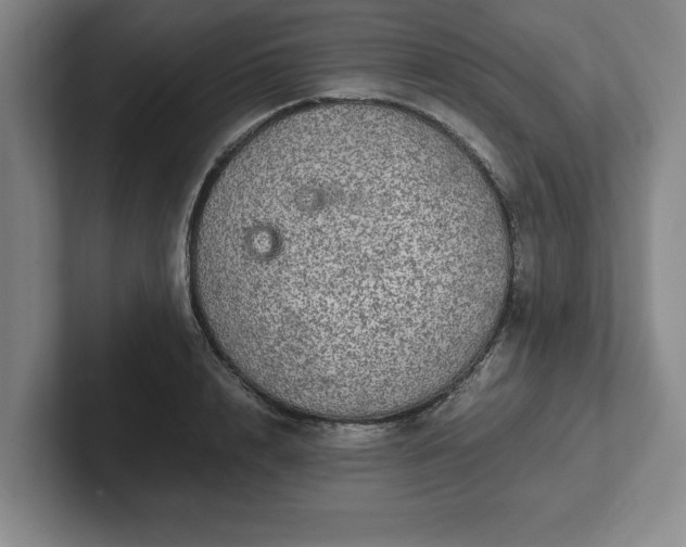 X0000102520848200808151531