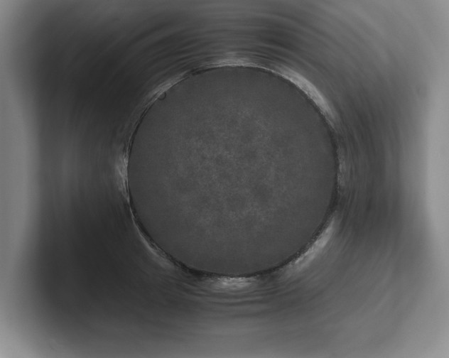 X0000102520849200808151531