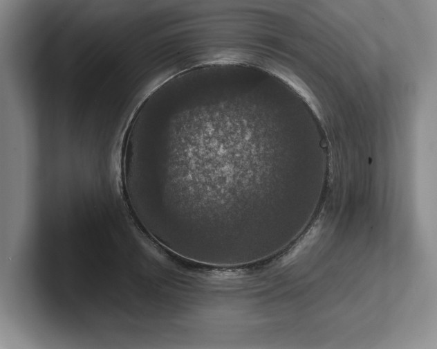 X0000102520850200808151531