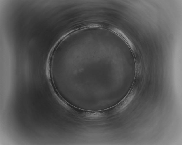 X0000102520851200808151531