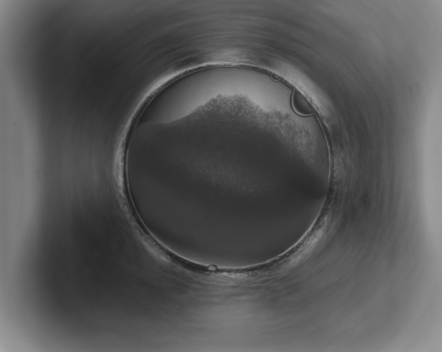 X0000102520854200808151531