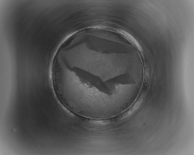 X0000102520855200808151531