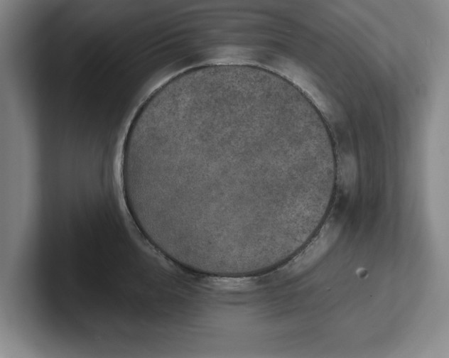 X0000102520856200808151531