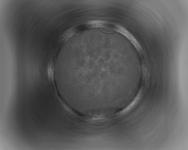 X0000102520857200808151531