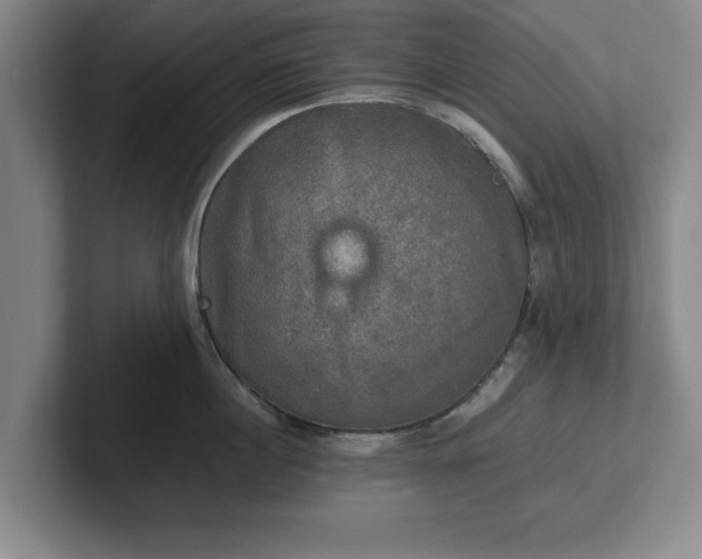 X0000102520860200808151531