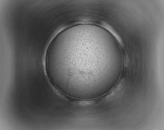 X0000102520861200808151531