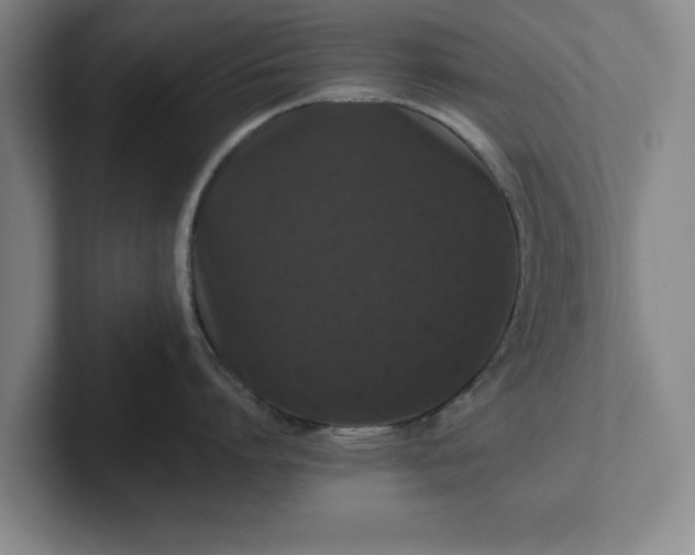 X0000102520864200808151532