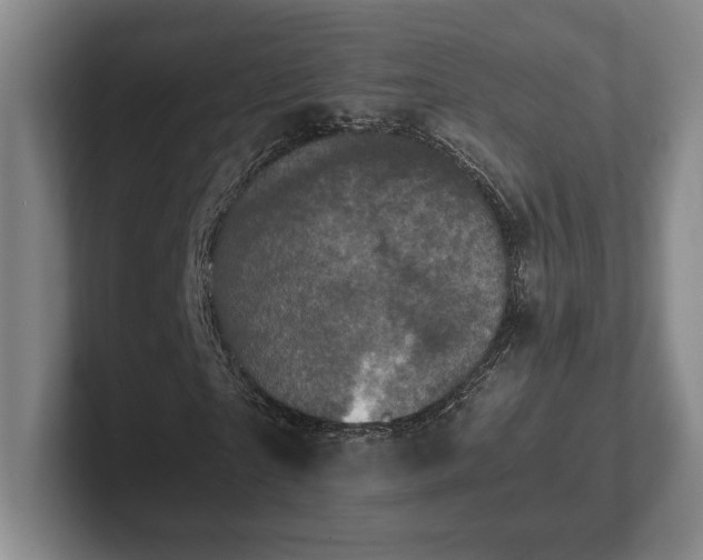 X0000102520865200808151531