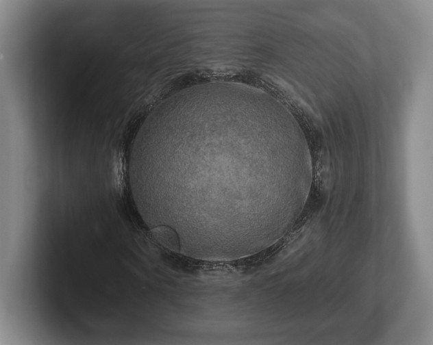 X0000102520866200808151531