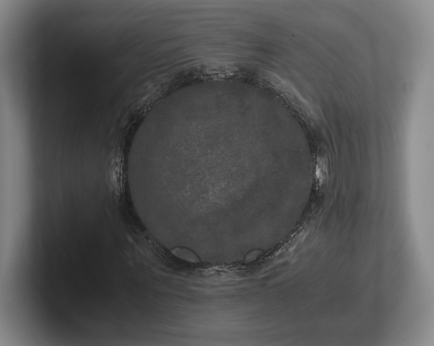 X0000102520867200808151531