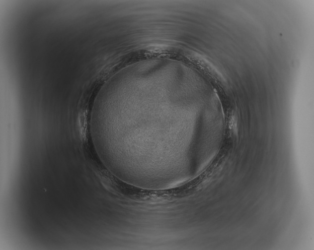 X0000102520868200808151531