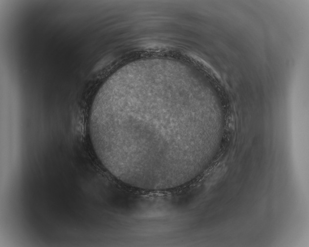 X0000102520869200808151531