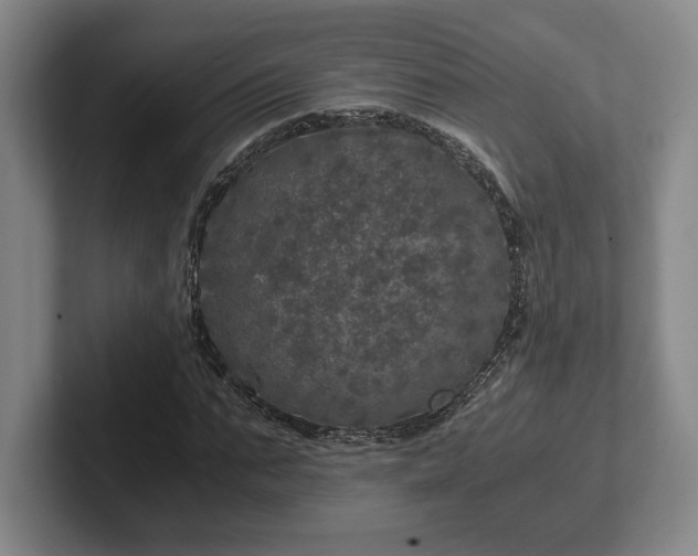 X0000102520871200808151531