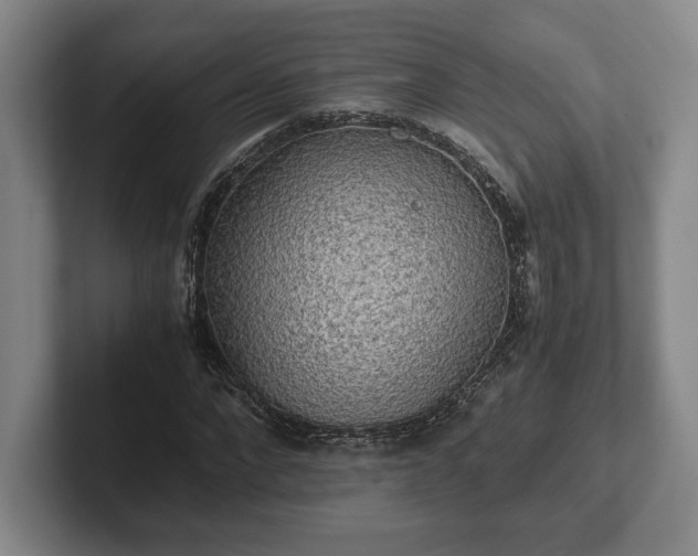 X0000102520872200808151531