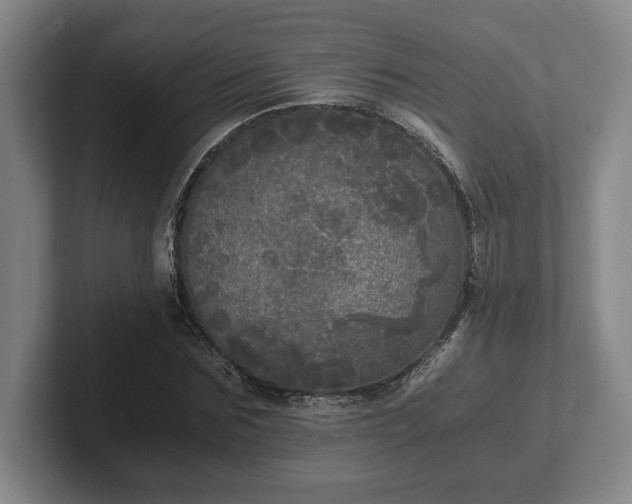 X0000102520875200808151531