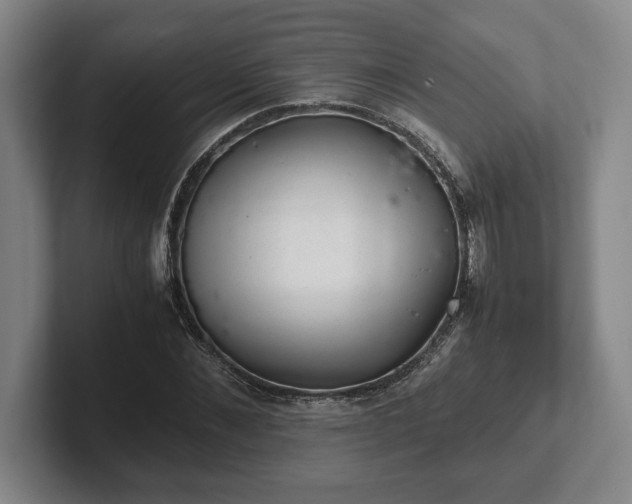 X0000102520876200808151531